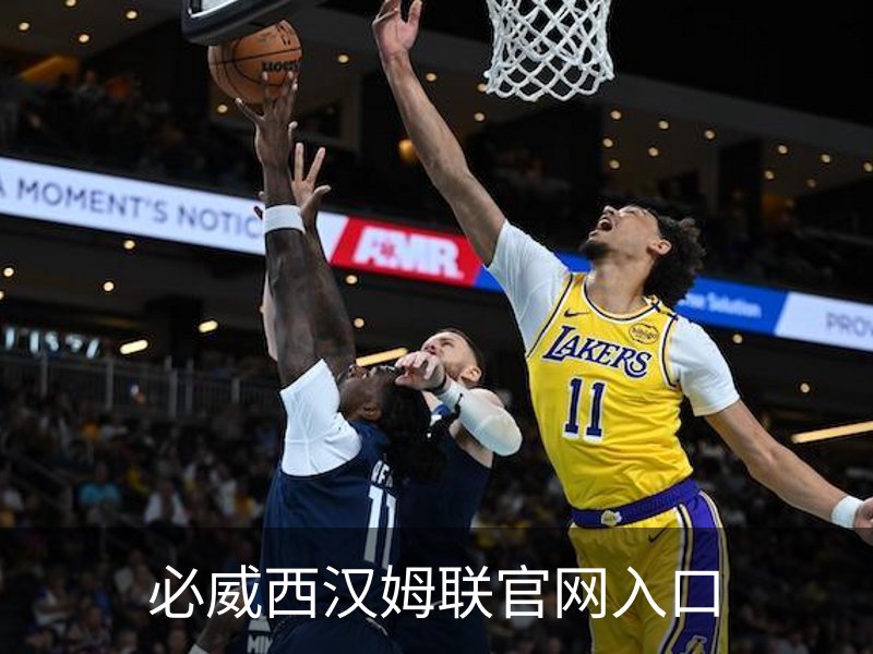 中国·必威(bw·西汉姆联)中文官方网站